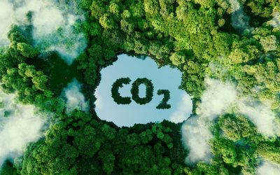 Zhenjiang Chi Mei Continuous Carbon Reduction
